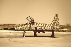 Italeri Northrop F-5E Tiger II
