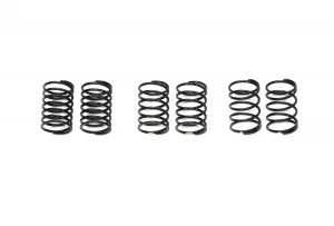 Tamiya Touring Car Short Springs II