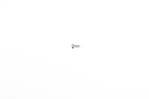 Tamiya 2X4mm Screw (10Pcs) For 58425