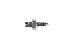 Tamiya Hex Screw Mount (4 Pcs)