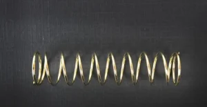 Tamiya Rear Coil Spring X 2 Df-02