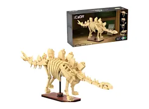 Dinosaur Fossils: Stegosaurus