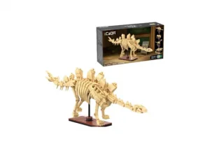 Dinosaur Fossils: Stegosaurus