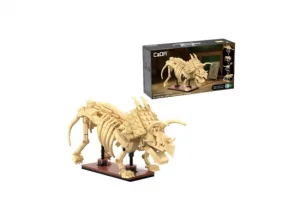 Dinosaur Fossils: Triceratops