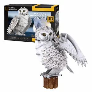 Snowy Owl (62 pieces)