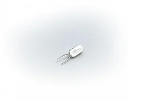 LGB 10X 24V Plugin Bulbs Was L68513
