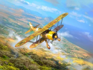 CR. 42 Falco - WWII Italian Fighter Plane