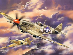 Spitfire Mk.VIII - WWII USAAF Fighter