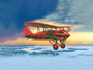 I-5 (early) - Soviet Biplane Fighter