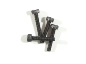 Screw M3x16mm Cap Head 21BB (4)