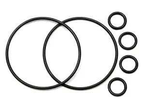 Gear Diff O Ring Set (Sprint)