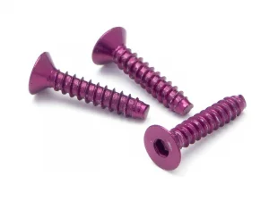 Aluminium TP Flat Head Screw (3x15mm Hex Head Purple/5Pcs)