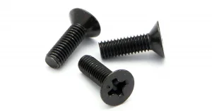 Flat Head Screw M3x10mm (6Pcs) Phillips Head