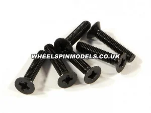 Flat Head Screw M3x15mm (6)