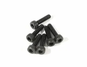 Cap Screw M3x12mm (2.5mm hex socket/6Pcs)