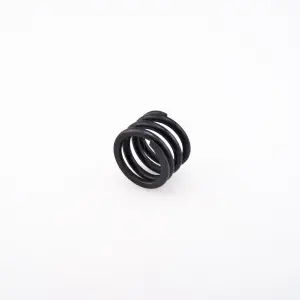 Hobbytech BX8-DB8 Servo saver spring