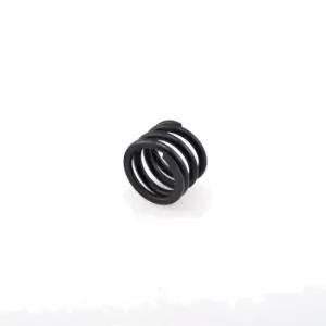 Hobbytech BX8-DB8 Servo saver spring