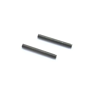Hobbytech Spirit NXT Rear hub hinge pin