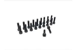 Extreme Cup Head Screw set M4x15 (20)