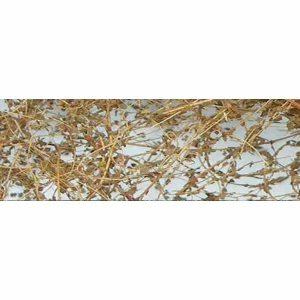 JTT Dry Vines, dead foliage - 10g