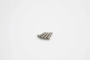 Kyosho Titan Flat Head Tp Screws 4X20mm (4)