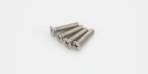 Kyosho Titan Flat Head Screws 4X20mm (4)