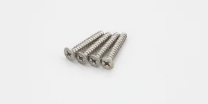 Kyosho Titan Flat Head Tp Screws 4X25mm (4)