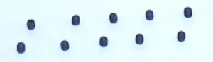 4.40 Hardened Set (Grub) Screws (10)
