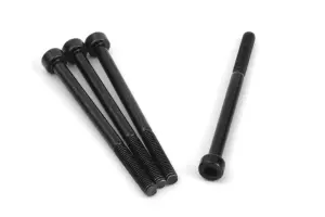 Cap Head Screw M3x43mm (4)