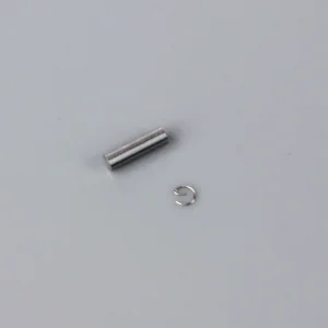 SC Gudgeon Pin and Cap (for SCAP06)
