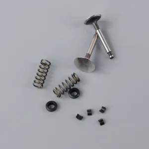 SC Valve set (for SC180FS)