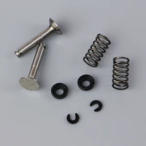SC Valve set (for SC30FS)