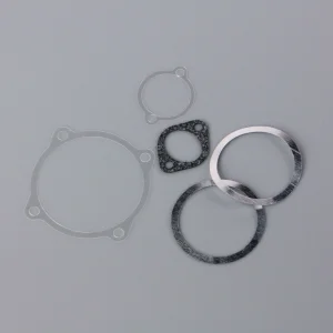 SC Gasket set, cylinder head, backplate, cam plate, inlet manifold) (for SC70FS)