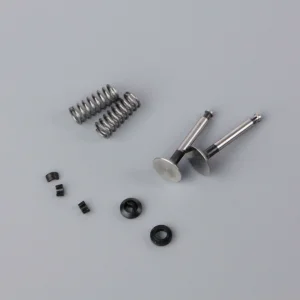 SC Valve set (for SC70FS, SC91FS, SC400FS)