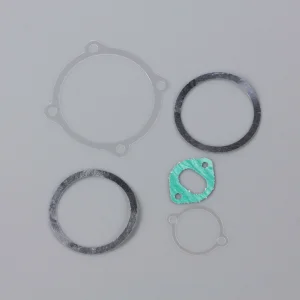 SC Gasket set, cylinder head, backplate, cam plate, inlet manifold (for SC91FS)