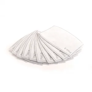 PM2.5 Filter for AM Safety Mask (10)