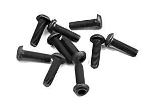 Screw 3x10 6pcs/Bag