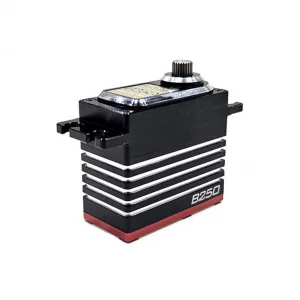 Highest B250 Servo 1:8 Buggy