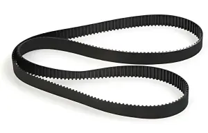 Belt; 245t - Fusion