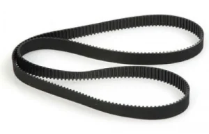 Belt; 245t - Fusion