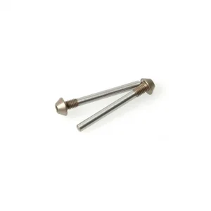 Pivot Pin; Screw Type 25mm (2)