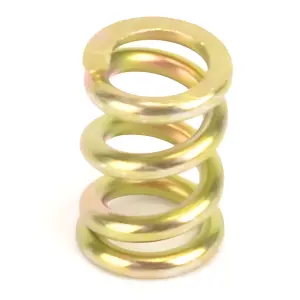 Slipper Spring Twin Plate - 2WD/4WD