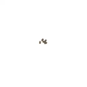 Speed Pack - M2.5x4 Cone Grub Screw (pk5)