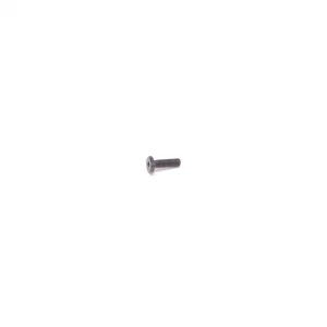 M3x10 Low Profile Head Screw (Servo Mt.)- CAT 2000