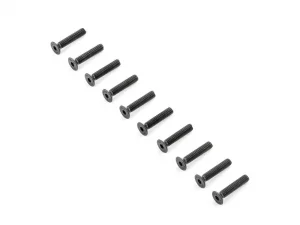 Flat Head Screws M4x20mm (10)