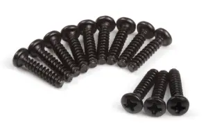 Pan Head Tapping Screws BBHO3*15mm (12pcs)