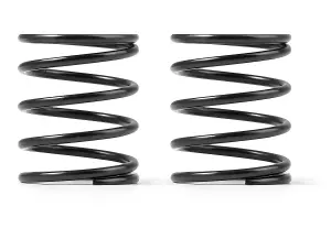 XRay 4S Spring Set C = 2.9 (2)
