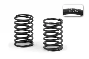 XRAY Spring Set C = 2.2 (2Pcs)