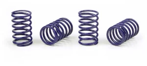 XRay Spring Set D=1.7 (25 LB) Dark-Blue (4)