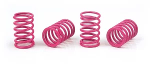 XRay Spring Set D=1.8 (30 LB) Light-Purple (4)